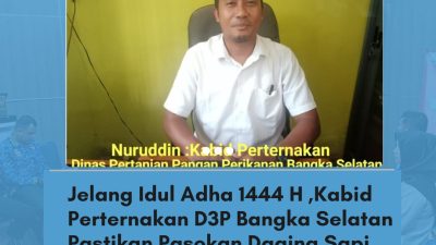 Jelang idul Adha 1444 H,  Kabid Perternakan D3P Bangka Selatan Pastikan Pasokan Daging Sapi Aman & Bebas Penyakit