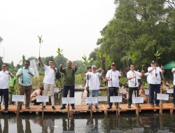 Percepat Perlindungan Ekosistem Apical Tanam 3.000 Pohon Mangrove di Jakarta