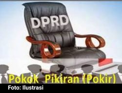 Rawan Penyimpangan! Dana POKIR Dalam Politik
