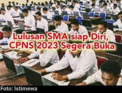 Kabar Gembira ! Seleksi CPNS 2023 Akan Menerima Banyak Lulusan Baru Dari SMA/SMK