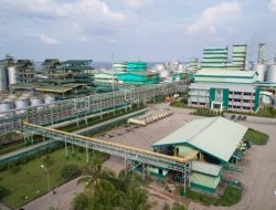 Profil Grup APICAL Ltd, Perusahaan Minyak Sawit Terkemuka di Indonesia