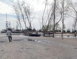 Keterlibatan Cukong Timah dan Oknum APH Diduga Perkuat Aktivitas Tambang Timah Illegal di Penagan Bangka