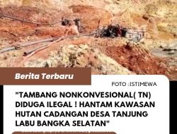 Tambang Nonkonvesional( TN) Diduga Ilegal ! Hantam kawasan Hutan Cadangan Desa Tanjung Labu