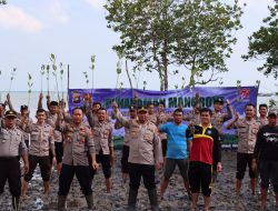 PT Timah Tbk Bersama Polres Bangka Barat Tanam Mangrove di Pantai Sungai Baru 