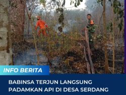 Babinsa Terjun Langsung Padamkan Api Di Desa Serdang