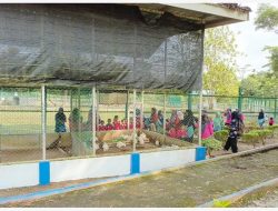 PT Timah Tbk Ajak Siswa TK Bina Permata Desa Prayun Belajar dan Melihat  Satwa di Kundur Park