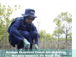 Menjaga Ekosistem Pesisir dan Wujudkan Net Zero Emission, PT Timah Tbk Konsisten Tanam Mangrove di Wilayah Operasional
