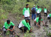 Jaga Ekosistem Pesisir dan Cegah Abrasi, PT Timah Tbk Tanam 12.000 Mangrove di Pesisir Pantai di Kundur