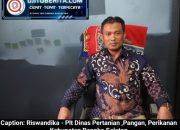 Bantu Petani di Tiga Desa, DPPP Basel Alokasikan Bibit Tanaman 3000 Hektar & Lahan Perkebunan 300 Hektar