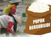 Program i-Pubers: Beri Kemudahan Petani Dapatkan Pupuk Bersubsidi