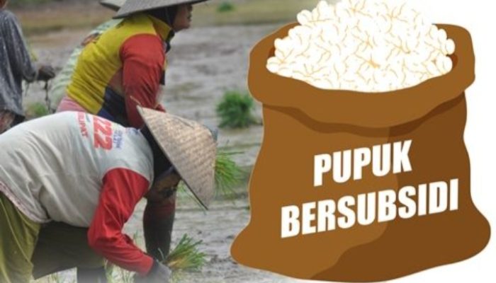 Program i-Pubers: Beri Kemudahan Petani Dapatkan Pupuk Bersubsidi
