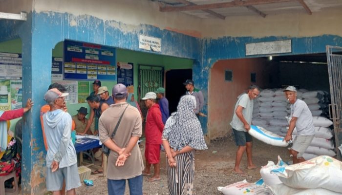 Jatah Berkurang ! Petani Rias Rela Antri Beli Pupuk Bersubsidi