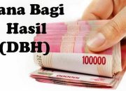 Pemprov Babel Salurkan Dana Bagi hasil Sektor Pajak Triwulan IV 2023: Pangkalpinang Tertinggi, Beltim dan Bangka Selatan Terendah