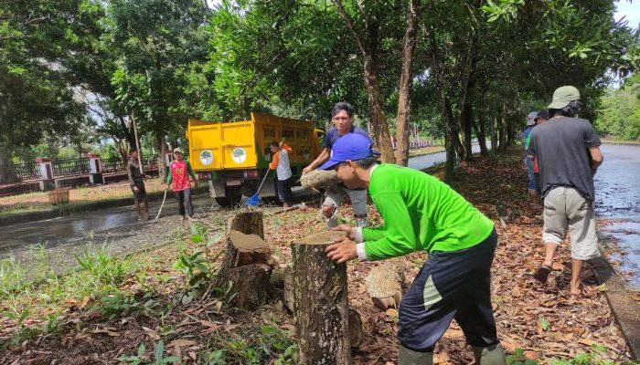 DLH Basel Aksi Antisipatif: Bersihkan Pohon Mati, Lindungi Pengguna Jalan dan Lingkungan