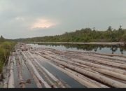 Kepala DLHK Provinsi Babel: Tanggapi Penebangan Kayu di Hutan Aliran Sungai Nyireh Desa Pergam