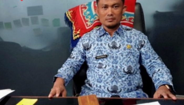 Risvandika: Rancangan Program Optimalisasi Lahan Rawa Sawah di Desa Bangka Selatan