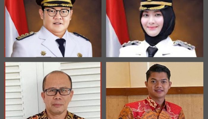 Menakar Kontestasi, Jelang Pilkada Bangka Selatan 2024