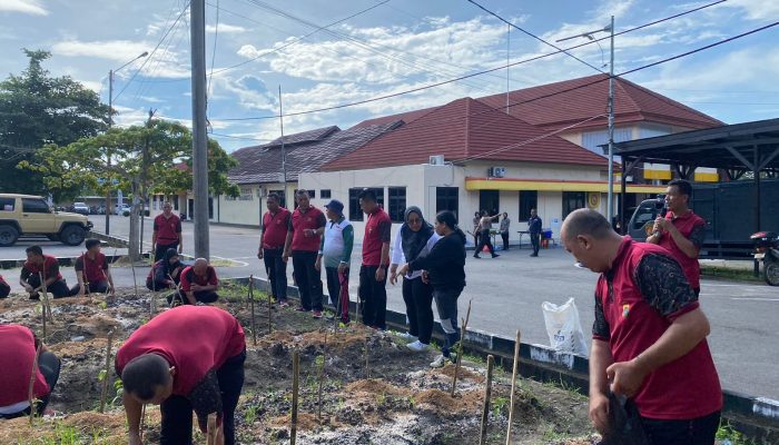 Polres Bangka Dukung Ketahanan Pangan Melalui Penanaman Cabe