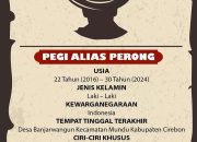 Kasus Pembunuhan Vina Kembali Viral, Polda Jabar Rilis Ciri-Ciri 3 Pelaku DPO