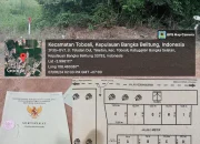 Cek Lokasi Langsung, Jual Lahan dan Tanah Kavling Strategis di Kelurahan Teladan  Toboali Bangka Selatan