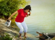 Buaya Liar Teror Warga Nyelanding, Tim Penangkapan Kewalahan!