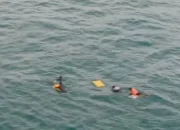 Kapal Nelayan Warga Tanjung Ketapang Tertabrak, Terombang-ambing 12 Jam di Laut