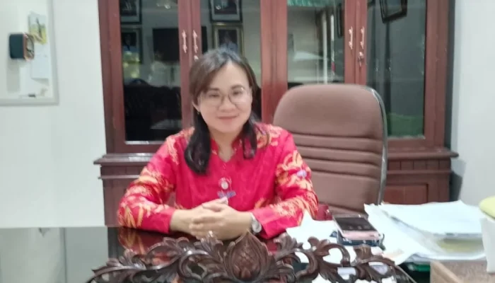 Dr Helen Sukendy: Dua Gedung Baru RSUD Junjung Besaoh Siap Layani Pasien, SDM Masih Menjadi Catatan!