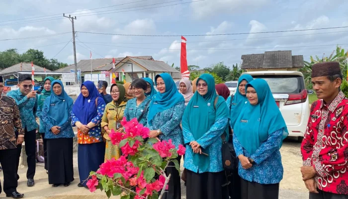 Penilaian Lomba PHBS dan Posyandu Tingkat Provinsi Digelar di Pulau Besar