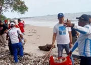 Dishub Bangka Selatan Turunkan 100 Personel Bersihkan Pantai Nek Aji Peringati HUT Toboali