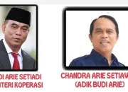 Koalisi Anti Judol Dukung Menkomdigi Usut Dana Judi Online yang Diduga Mengalir ke Adik Menteri