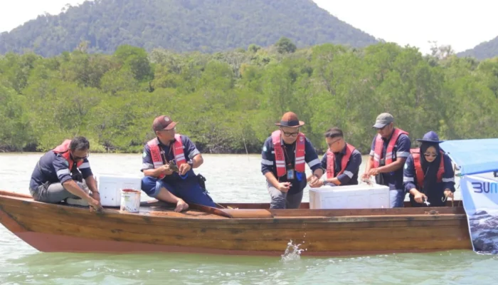 PT Timah Tebar Bibit Kepiting Bakau di Karimun dan Kundur, Dukung Ekosistem