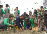 PT Timah Tanam 3.000 Mangrove di Pantai Takari Bersama Pelajar