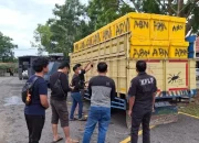 Polda Babel Gagalkan Penyelundupan Timah, Diduga Libatkan Jaringan Lama