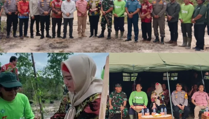Kodim 0432/Basel Tanam 22.000 Pohon, Wabup Debby Tekankan Perawatan Berkelanjutan