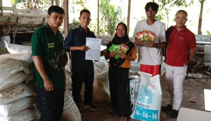 Pemkab Basel Dorong Swasembada, Salurkan Bantuan Cabai untuk 13 Kelompok Tani