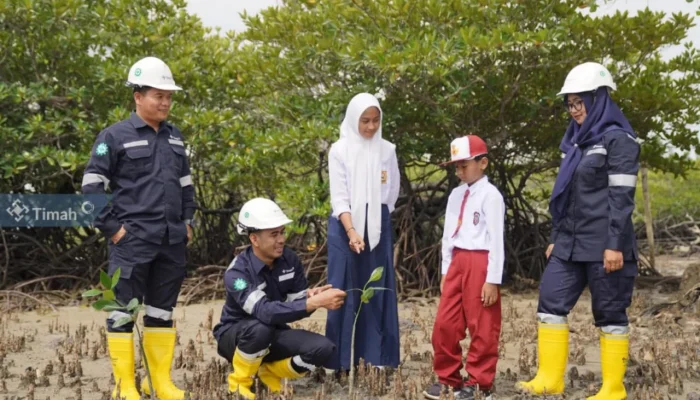 Hijaukan Bumi, PT Timah Tanam Ribuan Pohon di Lahan Bekas Tambang