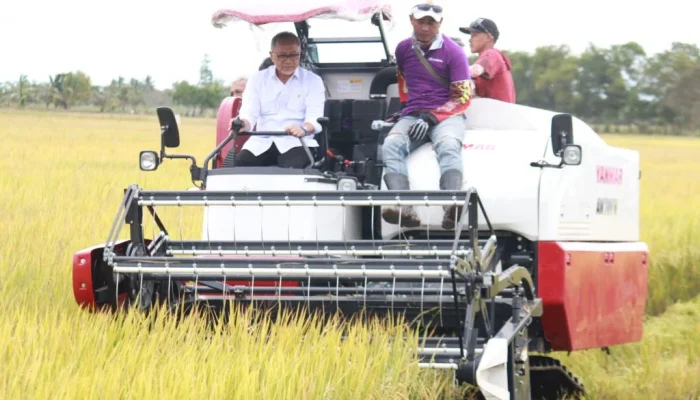 Pj Bupati Banyuasin dan Menko Pangan RI Panen Raya di Tanjung Lago