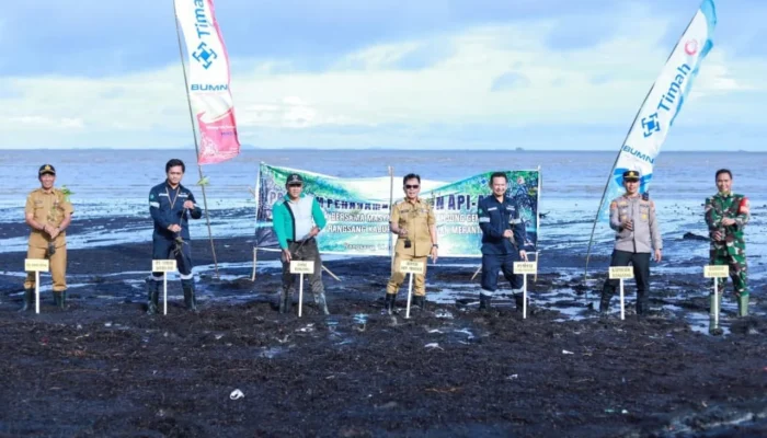 PT Timah Tanam 3.000 Mangrove di Pantai Sesai Meranti Cegah Abrasi