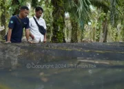PT Timah Bantu Renovasi Kolam Lele Kelompok Sumber Rezeki 