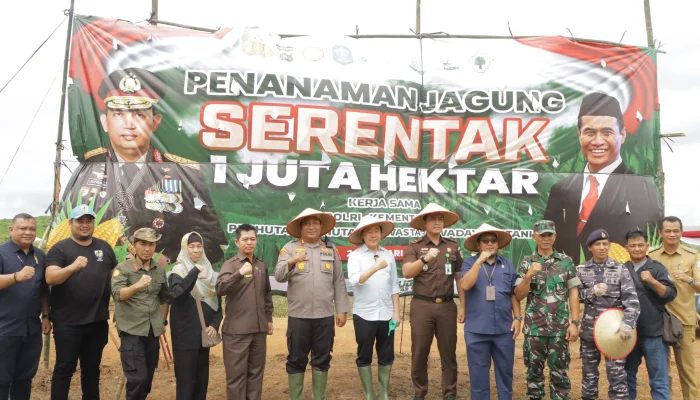 Polres Bangka, Forkopimda, dan PT GML Gelar Penanaman Jagung Serentak untuk Ketahanan Pangan Nasional