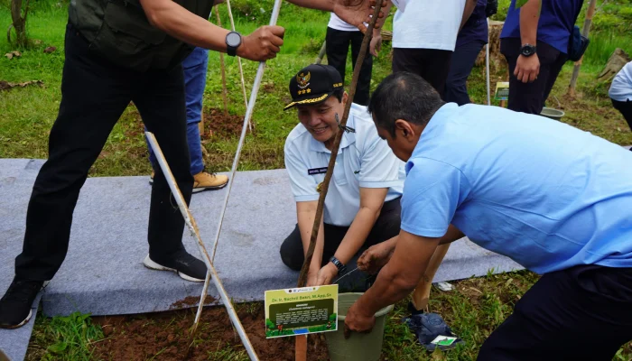 Hijaukan Ciliwung, Pemkab Bogor dan KLHK Tanam Ribuan Pohon di Gunung Mas