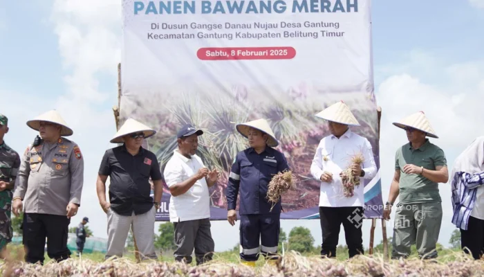 Dirut PT Timah: Panen Raya Bawang Merah Wujud Komitmen Pemberdayaan Masyarakat