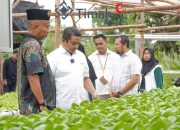 Dirut PT Timah Kunjungi Kelompok Hidroponik, Perempuan Sawang Laut Makin Mandiri