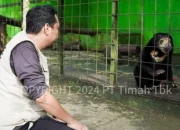 Satwa Endemik Babel Terancam, Tambang Ilegal Rusak Habitat Alami