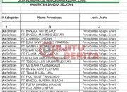 Ketimpangan Legalitas Perkebunan Sawit Bangka Selatan: 60.466,66 H  Lahan Masih Bermasalah?