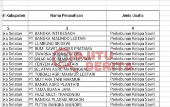 Daftar Perusahaan Perkebunan Kelapa Sawit di Bangka Selatan: Siapa Saja Pemain Besarnya?