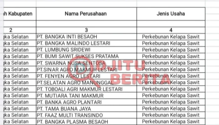 Ketimpangan Legalitas Perkebunan Sawit Bangka Selatan: 60.466,66 H  Lahan Masih Bermasalah?