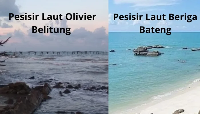 PT Timah Bidik Tambang Laut Olivier Belitung dan Beriga Bangka Tengah