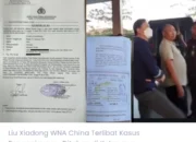Diduga Disetir WNA, Kritik Alifudin soal Kasus Yu Hao Disorot KAMAKSI: Hormati Putusan Hakim!