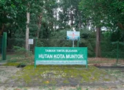 Hutan Kota Mentok, Surga Flora Fauna Endemik Karya PT Timah